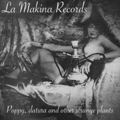 Poppy, datura and other strange plants