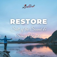 Salt of the Sound & Simon Wester - Restore (Instrumental)