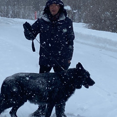 Winter- Snow Falling