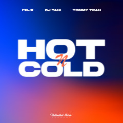 FEL!X & dj tani - Hot N COLD (Tommy Tran Remix)