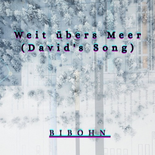 Bibohn - Weit über's Meer (David's Song)
