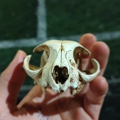 ҞEEP AŁIVE BEҰØNÐ ÐEAŦH