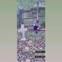 Capricicous By redfox2019386 (prod.Puhf)