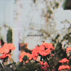 soundscape.