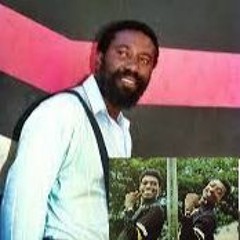 Money Worries- Ernest Wilson, Maytones & I - Roy