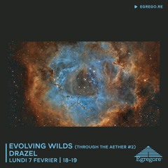 Evolving Wilds : Through the AEther #2 (Février 2022)