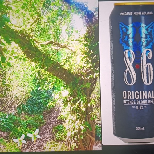 RMX kuzan la 8.6 jss encore ds le rouge