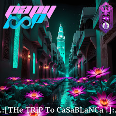 LaDeeLooP CaSaBLaNCa - THe TRiP To CaSaBLaNCa !