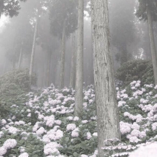 Big Wave ( tiktok audio )