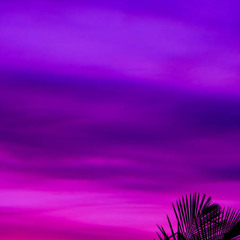 Beep Boop🪜🧯🚧🔋