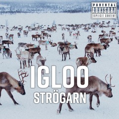 Igloo (feat. Nardn)