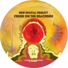PREMIERE : New Digital Fidelity - Crush On The Beachside