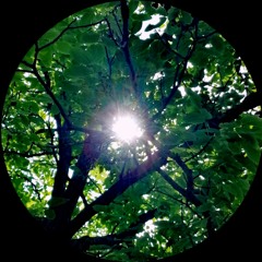 The roots are red and everything is clear and bright (1st Edit)