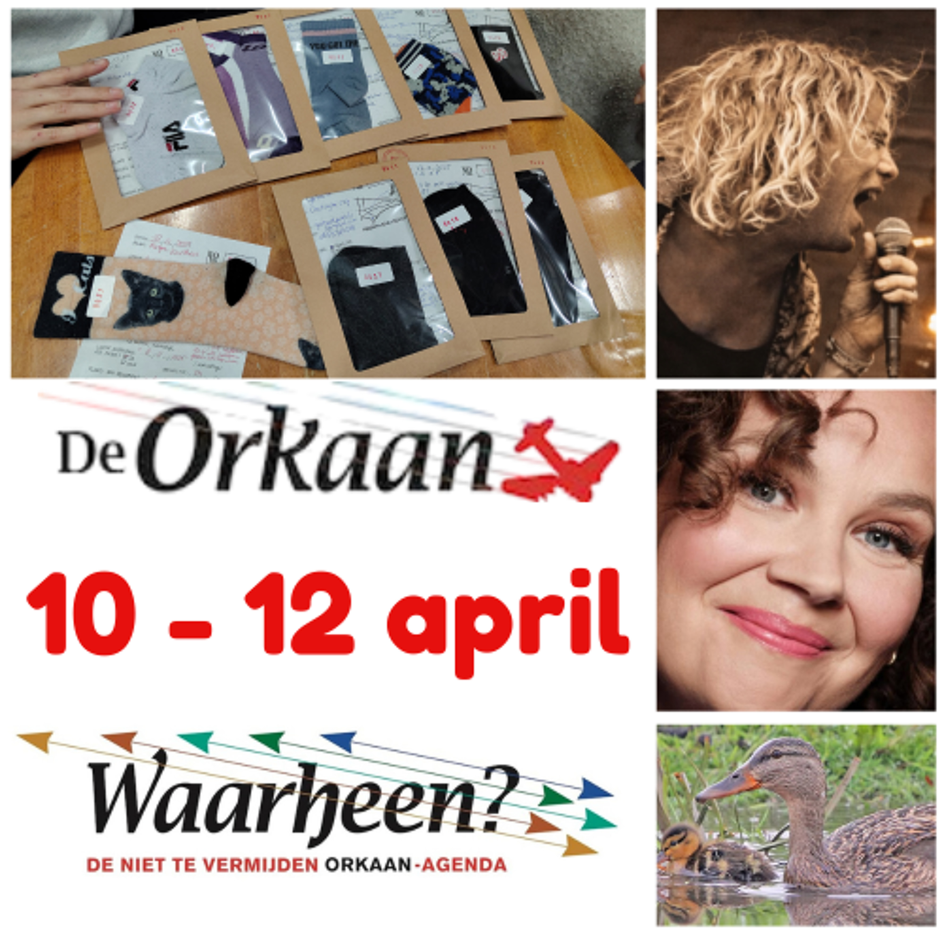 Waarheen - Zaanse uitgaanstips van De Orkaan (10 – 12 april)