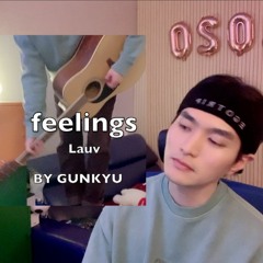 Feelings - Lauv (cover by gunkyu건규)