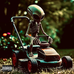 lawn mower mf