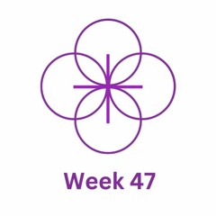 Week 47