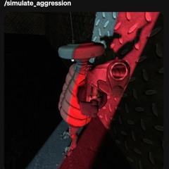 //simulate_aggression//