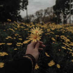 yenic - buna iubire