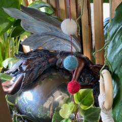 The Elf & The Empress Embrace Eternity