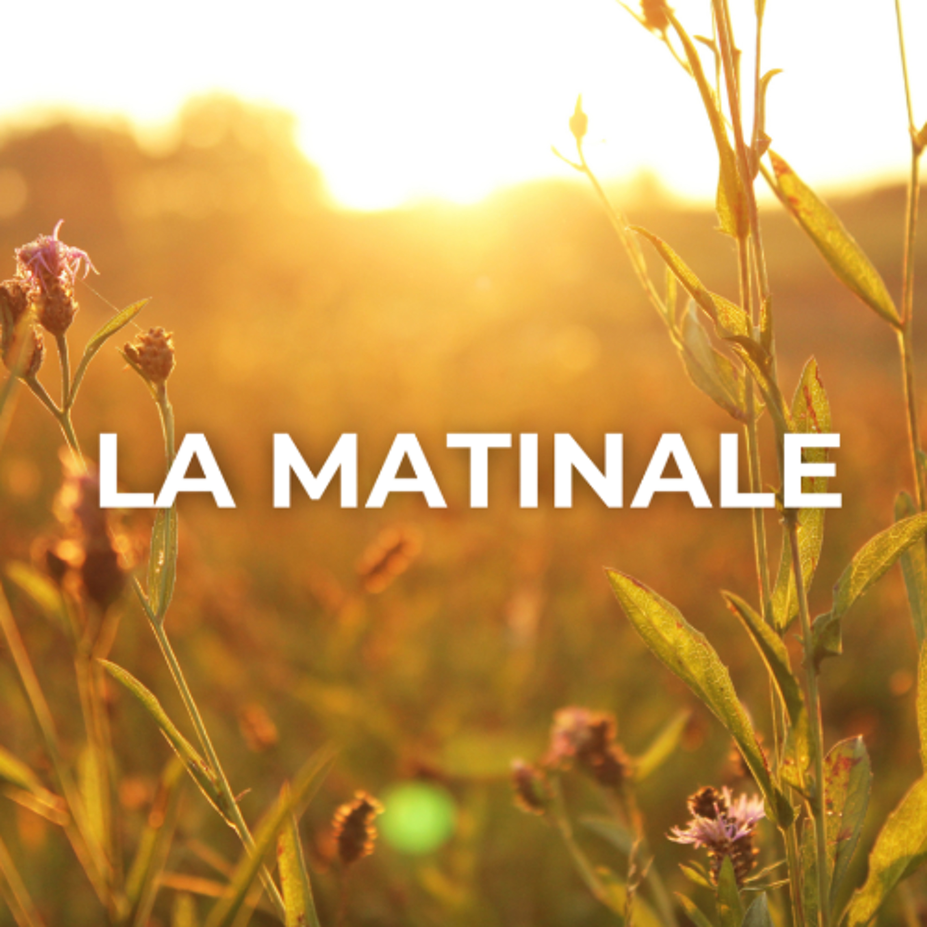 20251023-lamatinale episode artwork
