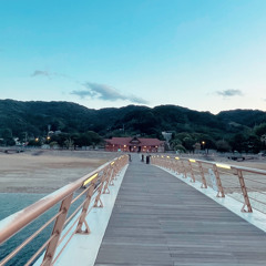 夢見た日
