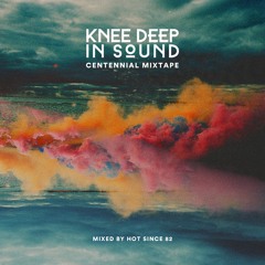 Hot Since 82 - Knee Deep In Sound // Centennial Mixtape