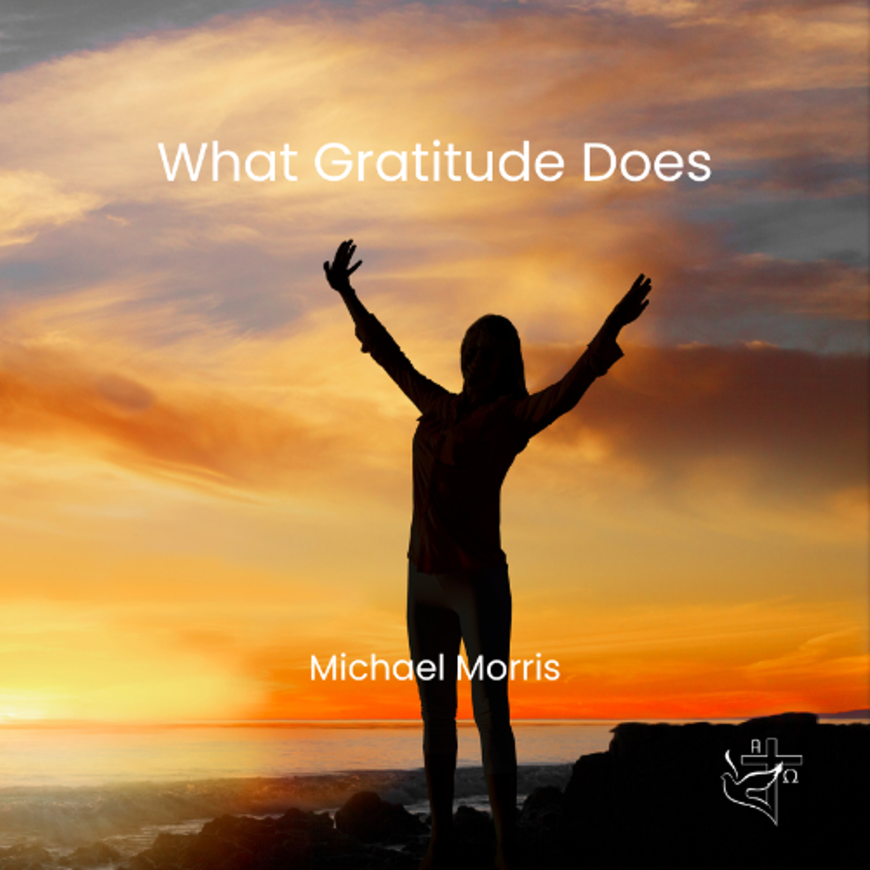 What Gratitude Does episode artwork