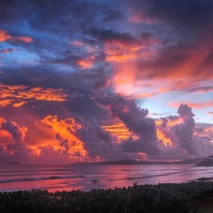 The tropics for the winter