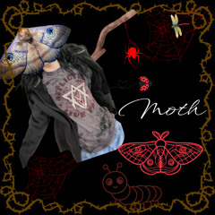 Moth