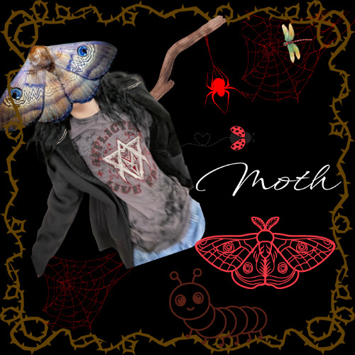 Moth