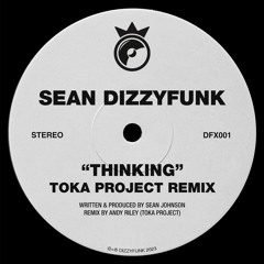 Sean DizzyFunk — Thinking (Toka Project Remix)