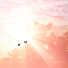 Прошло уж лето, осень наступила