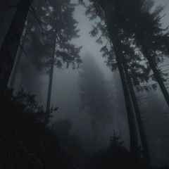 VOYUITWAAIEN (ultra slowed)