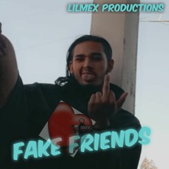 Fake Friends
