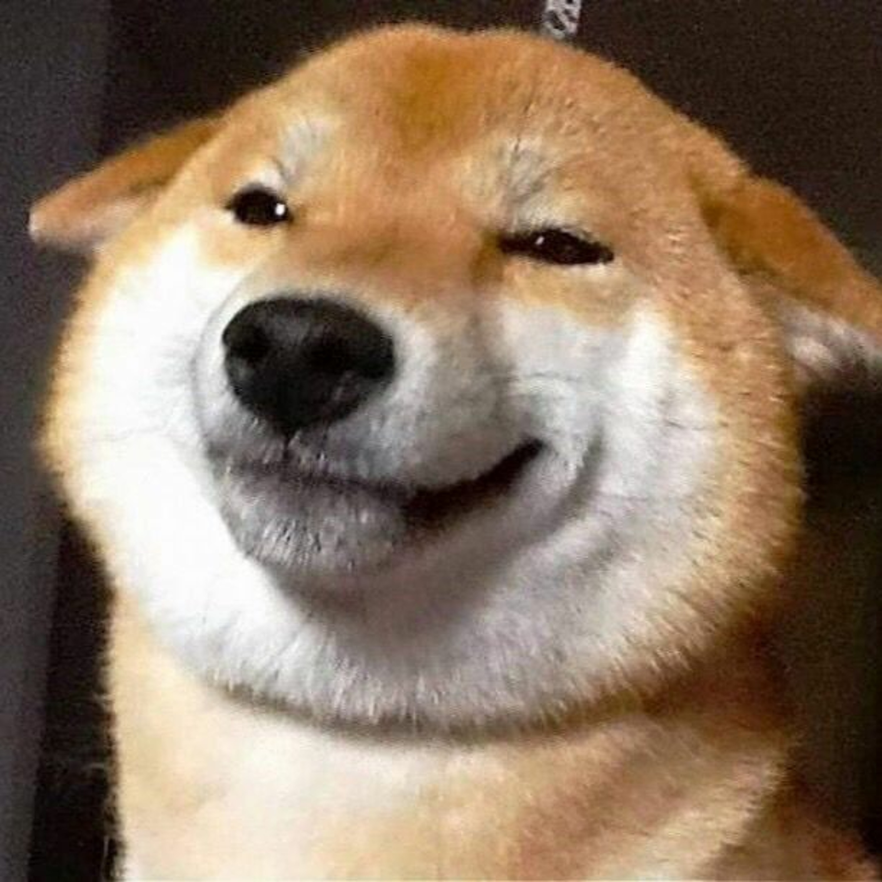 kmlkmljkl