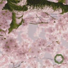 Spring - Minimal Generative Ambient