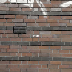 PP#1