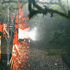 Yesterday's Forest Magic [SONHO]