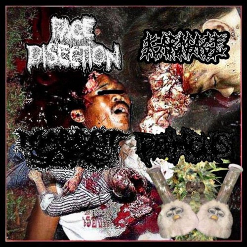 FACE DISECTION x MAGGOT SORE x POHCUS x KARNAGE 4-WAY SPLIT (ALL SIDES)