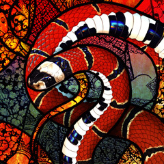 Only If Snakes Had Ears