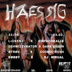 HAESSIG 3.2.23 by RVZN-Project b2b DarkVision
