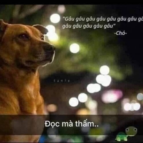 Mix 3IN1 [ Style Huy pt ] - QIZ x CB9 Remix