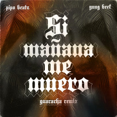 Si Mañana Me Muero (Remix)