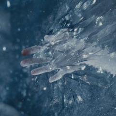 ice cubes (prod. student27)