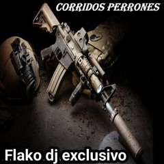 MIX CORRIDOS PERRONES FLAKO EXCLUSIVO