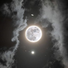 things I could never say to you by noni (cover)