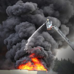 Bigboat X TBD BangDawg-DWS