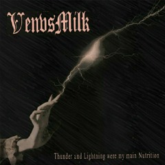 VenvsMilk - Epitaph for a Careless Beauty