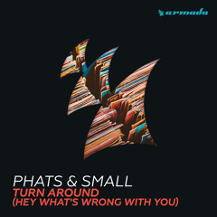 Phats & Small - Turn Around (Hey What's Wrong With You) (Futuristic Polar Bears Extended Remix)